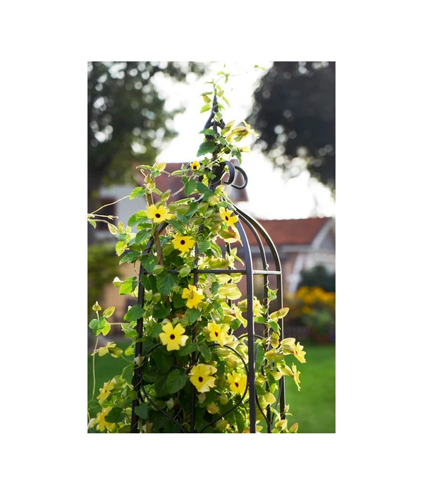 Dehner Metall-Rankobelisk Heart, Grau – Bild 3