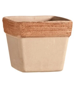 Degrea Terrakotta-Topf Graffiato, Quadratisch, Terrakotta-antik