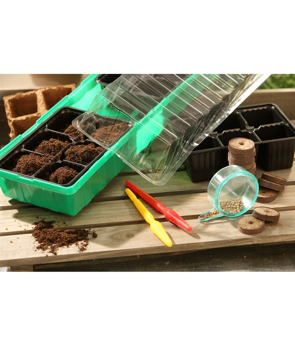 Dehner Zimmergewächshaus Frans, 54 X 15 X 12 Cm – Bild 4