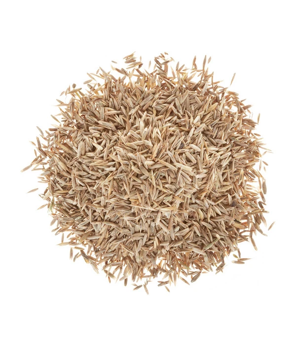 Wolf-Garten Wolf Premium-Rasen Supra – Bild 2