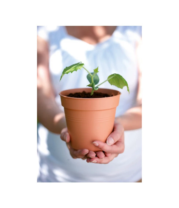 Elho Starter-Set Töpfe, 10 Stück – Bild 2