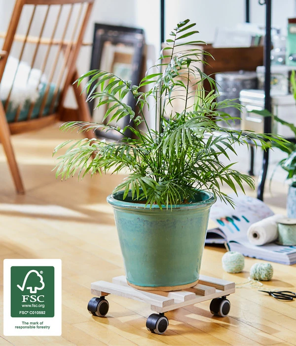 Wagner Multi Pflanzenroller, 25 X 25 Cm – Bild 2