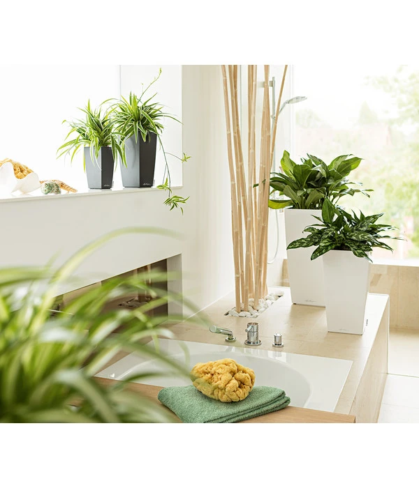 LECHUZA® MAXI/MINI-CUBI, All-in-One-Set – Bild 5