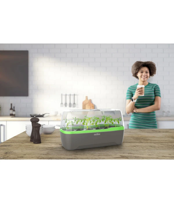 Romberg BoQube Gewächshaus – Bild 7