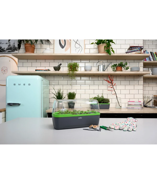 Romberg BoQube Gewächshaus – Bild 8