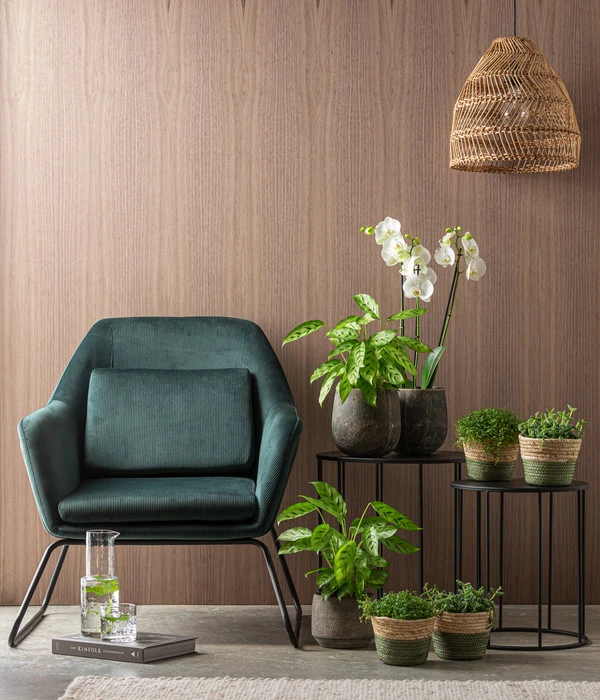 Dehner Seegras-Korb Phil, Rund – Bild 5