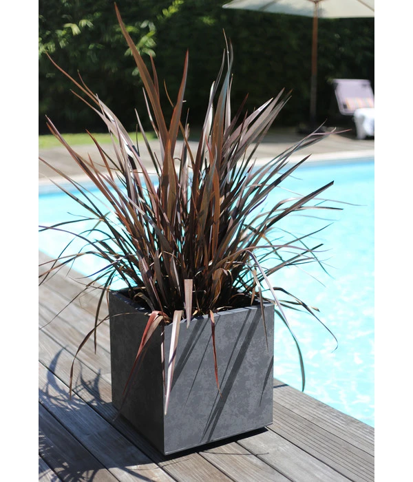 EDA-plastiques Kunststoff-Topf Basalt, Quadratisch, Anthrazit, Ca. B39,5/H43,5/T39,5 Cm – Bild 2