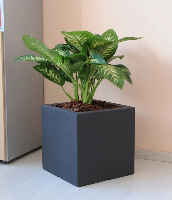 Farmet New Doppelwandiger Kunststoff-Kübel Atlantis, Quadratisch, Dunkelgrau, Inkl. Untersetzer – Bild 3