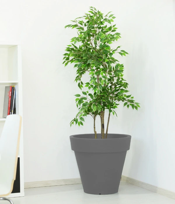 Farmet New Kunststoff-Topf Pegasus, Konisch, Inkl. Untersetzer, Ca. Ø60/H55 Cm – Bild 3