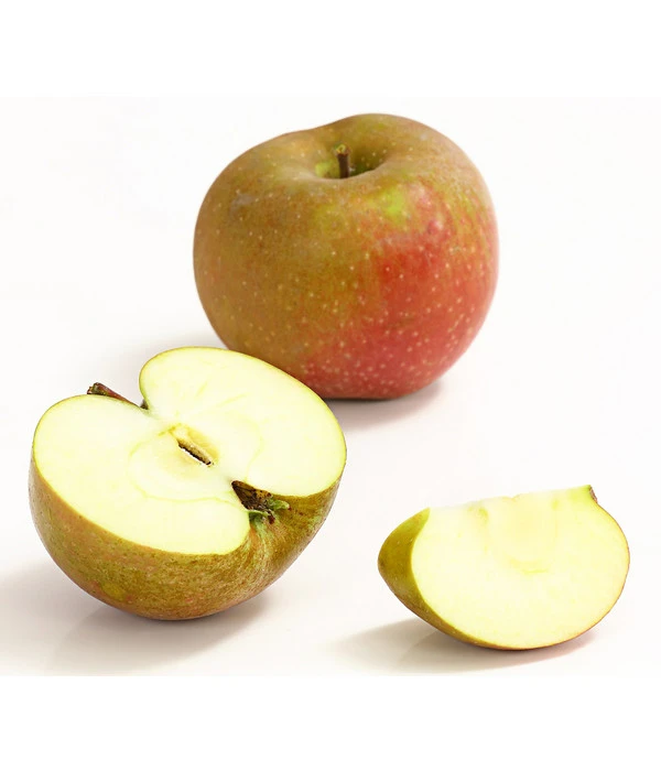 Winterapfel 'Roter Boskoop' â Bild 3