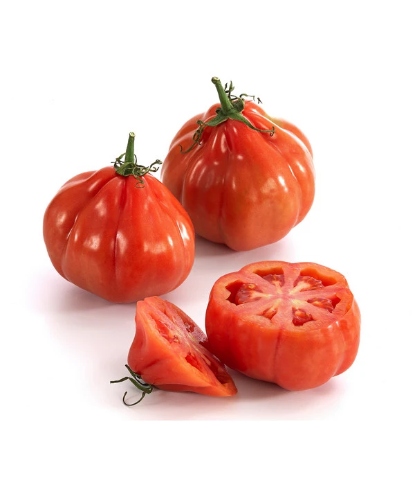 Ochsenherztomate 'Fleurette' – Bild 3